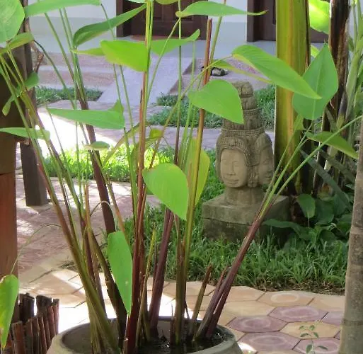 Hotel Angkor Tropical 3*