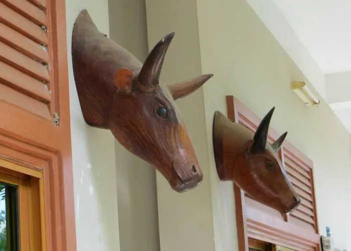 Angkor Tropical Hotel 3*