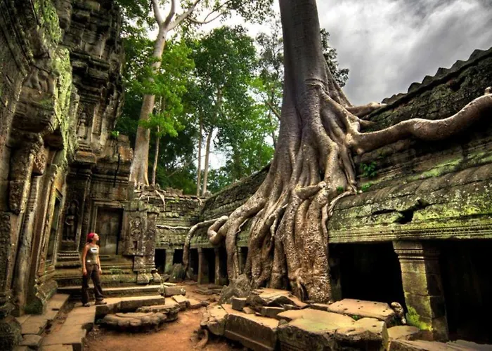 Hotel Angkor Tropical Siem Reap