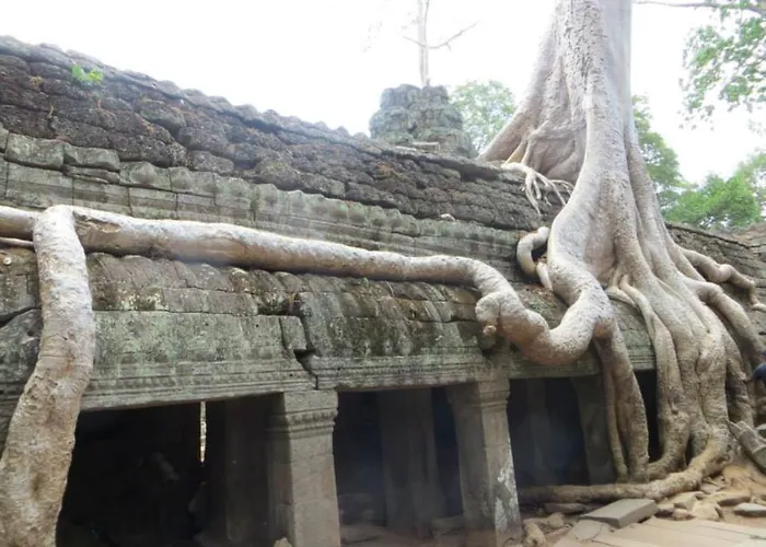 Hotel Angkor Tropical 3*